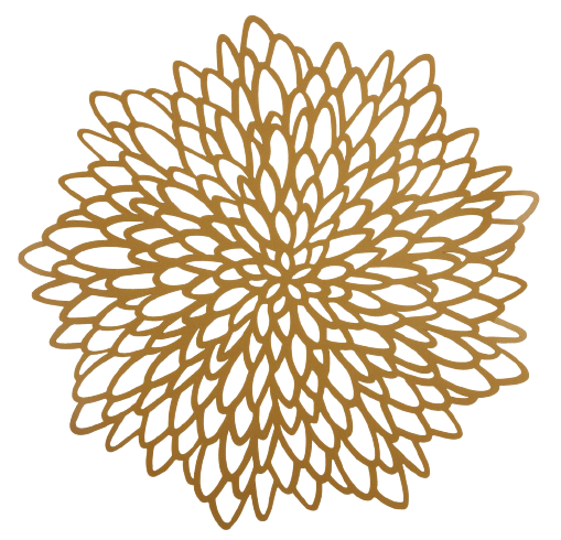 Zurück zur Startseite